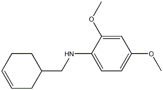 N-(cyclohex-3-en-1-ylmethyl)-2,4-dimethoxyaniline Struktur