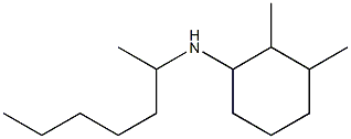 N-(heptan-2-yl)-2,3-dimethylcyclohexan-1-amine Struktur