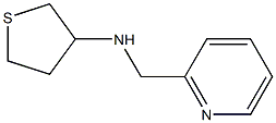 N-(pyridin-2-ylmethyl)thiolan-3-amine Struktur