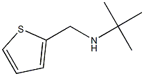 N-(tert-butyl)-N-(thien-2-ylmethyl)amine Struktur