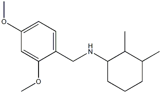 N-[(2,4-dimethoxyphenyl)methyl]-2,3-dimethylcyclohexan-1-amine Struktur