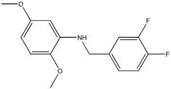 N-[(3,4-difluorophenyl)methyl]-2,5-dimethoxyaniline Struktur