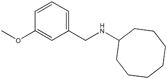 N-[(3-methoxyphenyl)methyl]cyclooctanamine Structure