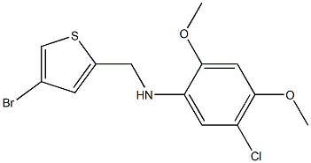 N-[(4-bromothiophen-2-yl)methyl]-5-chloro-2,4-dimethoxyaniline Struktur