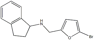 N-[(5-bromofuran-2-yl)methyl]-2,3-dihydro-1H-inden-1-amine Struktur