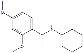 N-[1-(2,4-dimethoxyphenyl)ethyl]-2-methylcyclohexan-1-amine Struktur