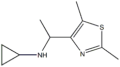 N-[1-(2,5-dimethyl-1,3-thiazol-4-yl)ethyl]cyclopropanamine Struktur