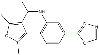 N-[1-(2,5-dimethylfuran-3-yl)ethyl]-3-(1,3,4-oxadiazol-2-yl)aniline Struktur