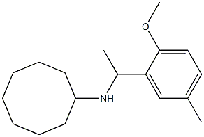 N-[1-(2-methoxy-5-methylphenyl)ethyl]cyclooctanamine Struktur