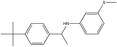 N-[1-(4-tert-butylphenyl)ethyl]-3-(methylsulfanyl)aniline Struktur