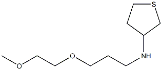 N-[3-(2-methoxyethoxy)propyl]thiolan-3-amine Struktur