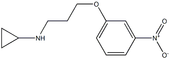 N-[3-(3-nitrophenoxy)propyl]cyclopropanamine Struktur