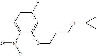 N-[3-(5-fluoro-2-nitrophenoxy)propyl]cyclopropanamine Struktur