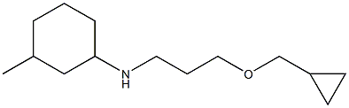 N-[3-(cyclopropylmethoxy)propyl]-3-methylcyclohexan-1-amine Struktur