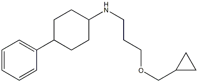 N-[3-(cyclopropylmethoxy)propyl]-4-phenylcyclohexan-1-amine Struktur