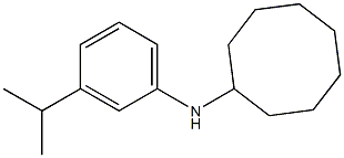 N-[3-(propan-2-yl)phenyl]cyclooctanamine Struktur