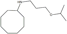 N-[3-(propan-2-yloxy)propyl]cyclooctanamine Struktur