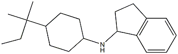 N-[4-(2-methylbutan-2-yl)cyclohexyl]-2,3-dihydro-1H-inden-1-amine Struktur