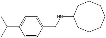 N-{[4-(propan-2-yl)phenyl]methyl}cyclooctanamine Struktur