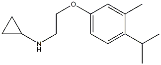 N-{2-[3-methyl-4-(propan-2-yl)phenoxy]ethyl}cyclopropanamine Struktur