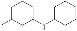 N-cyclohexyl-3-methylcyclohexan-1-amine Struktur