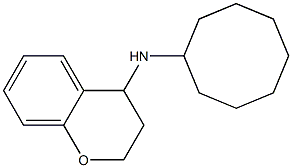 N-cyclooctyl-3,4-dihydro-2H-1-benzopyran-4-amine Struktur