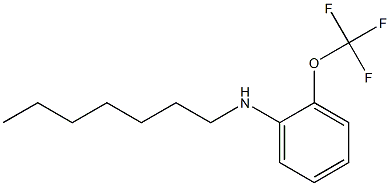 N-heptyl-2-(trifluoromethoxy)aniline Struktur