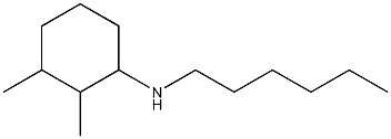 N-hexyl-2,3-dimethylcyclohexan-1-amine Struktur