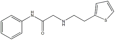 N-phenyl-2-{[2-(thiophen-2-yl)ethyl]amino}acetamide Struktur