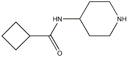 N-piperidin-4-ylcyclobutanecarboxamide Struktur