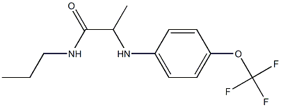 N-propyl-2-{[4-(trifluoromethoxy)phenyl]amino}propanamide Struktur