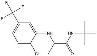 N-tert-butyl-2-{[2-chloro-5-(trifluoromethyl)phenyl]amino}propanamide Struktur