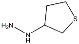 thiolan-3-ylhydrazine Struktur