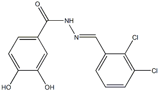 N'-[(E)-(2,3-dichlorophenyl)methylidene]-3,4-dihydroxybenzohydrazide Struktur