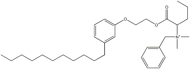 N,N-Dimethyl-N-benzyl-N-[1-[[2-(3-undecylphenyloxy)ethyl]oxycarbonyl]butyl]aminium Struktur