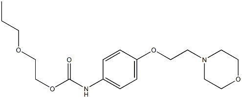 4-(2-Morpholinoethoxy)phenylcarbamic acid 2-propoxyethyl ester Struktur