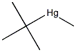 tert-Butylmethylmercury(II) Struktur