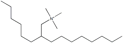 2-Hexyldecyltrimethylaminium Struktur