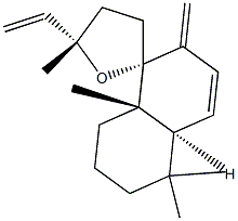 (13S)-9,13-Epoxy-6,8(17),14-labdatriene Struktur