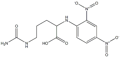 Dnp-DL-Citrulline Struktur