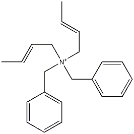 Di(2-butenyl)dibenzylaminium Struktur