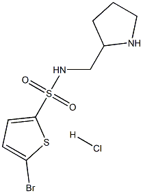 5-Bromo-thiophene-2-sulfonic acid (pyrrolidin-2-ylmethyl)-amide hydrochloride Struktur