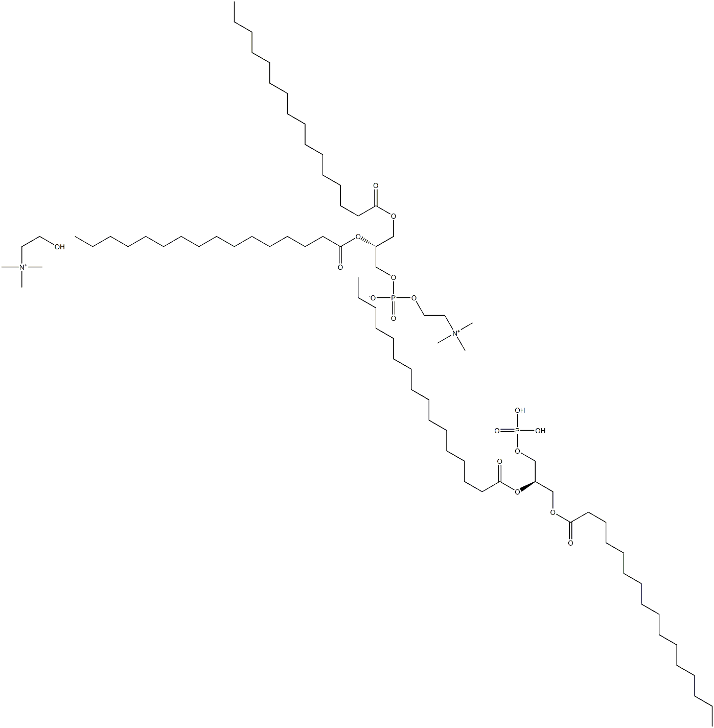 1,2-DIPALMITOYL-SN-GLYCERO-3-PHOSPHOCHOLINE 1,2-dipalmitoyl-SN-glycerol-3-phosphorylcholine Struktur