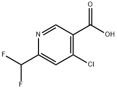 3-Pyridinecarboxylic acid, 4-chloro-6-(difluoromethyl)- Struktur