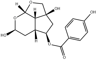 catalpin