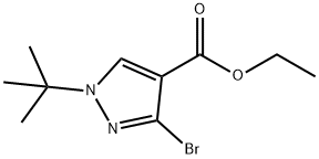 ethyl 3-bromo-1-tert-butyl-1H-pyrazole-4-carboxylate Struktur