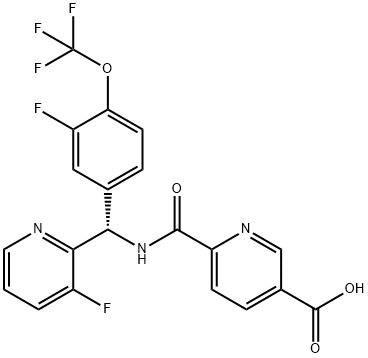 AMG-333 Struktur