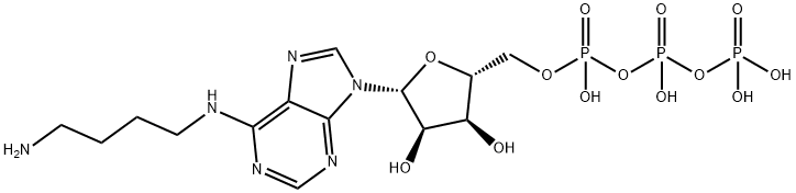 Adenosine 5'-(tetrahydrogen triphosphate), N-(4-aminobutyl)- Struktur