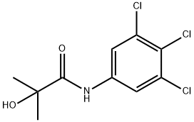 AA 560 Struktur