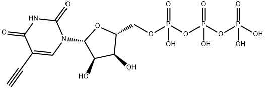 Uridine 5'-(tetrahydrogen triphosphate), 5-ethynyl- Struktur